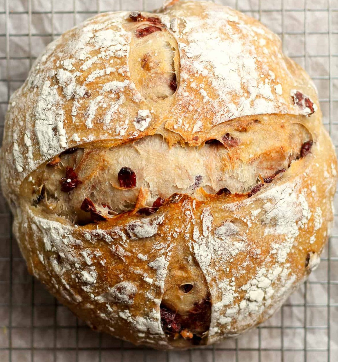 Cranberry Walnut Sourdough Bread
